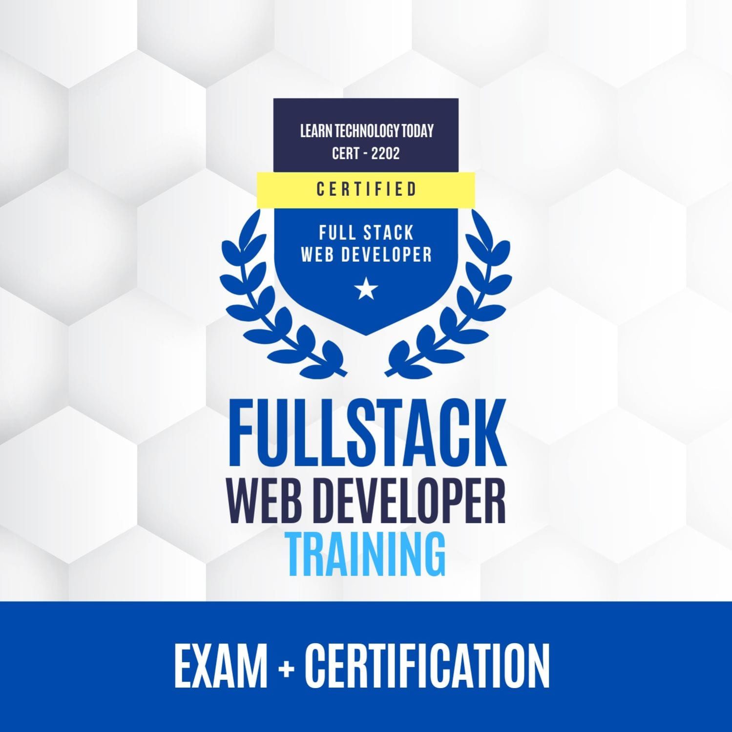 Full Stack Web Developer Career Path - Learn Technology Today
